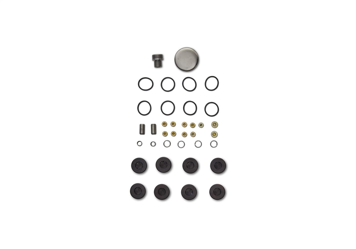 Ford Performance Plug And Dowel Kit For All Boss Blocks — additional view (FRPM-6026-BOSS)