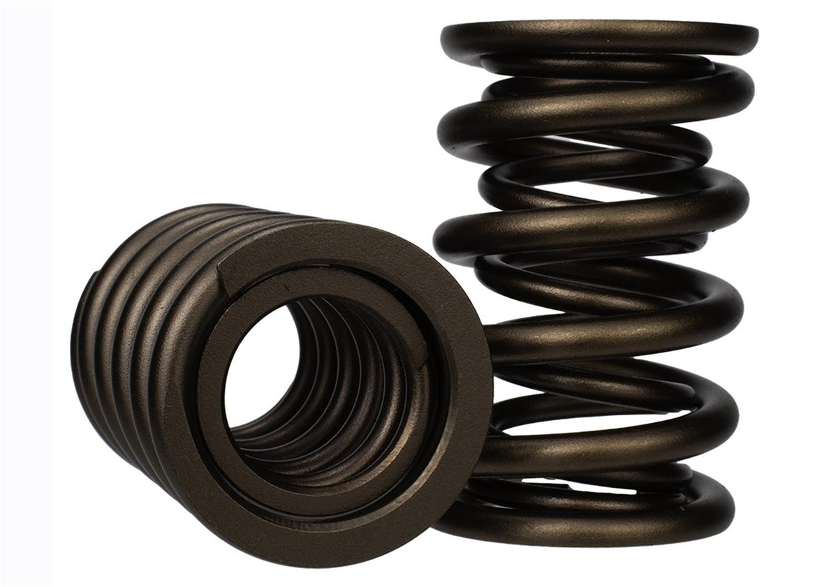 Ford Performance Set of 8 TVS-1734 Valve Springs — in use (FRPM-6513-17348)