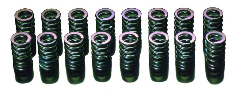 HKS 91-00 Infiniti G20 SR20DET Outer Valve Spring Set - 22001-AN002