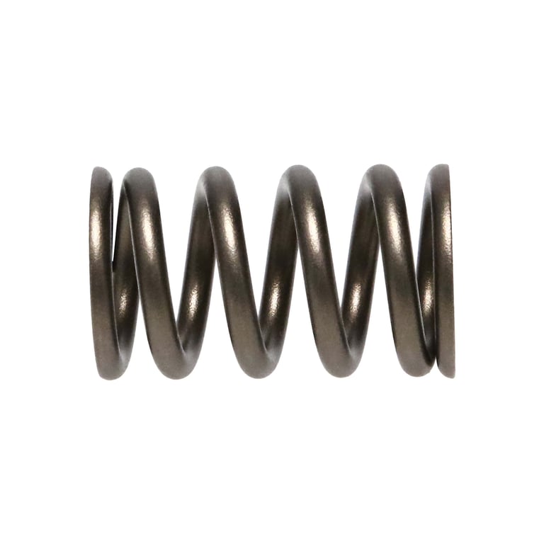 Manley 90-06 Mitsubishi (4G63-4G63T) 16pc Valve Springs (1.100/.775) - 22125-16