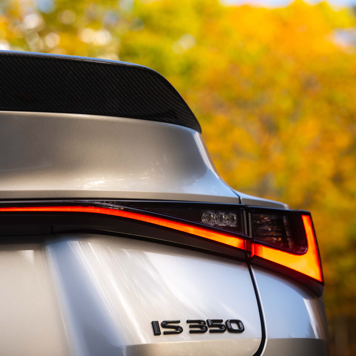 Seibon 2021 Lexus IS300/IS350 F Sport - TT Style Carbon Fiber Rear Spoiler - RS21LXIS-TT