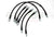 6 Stainless Brake Lines MK2 Supra Raptor Racing -Smoked - Raptor-RR1204-SM
