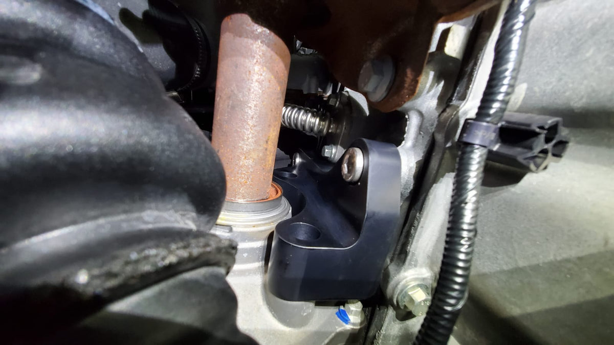 Raptor Racing Focus RS PTU Brace