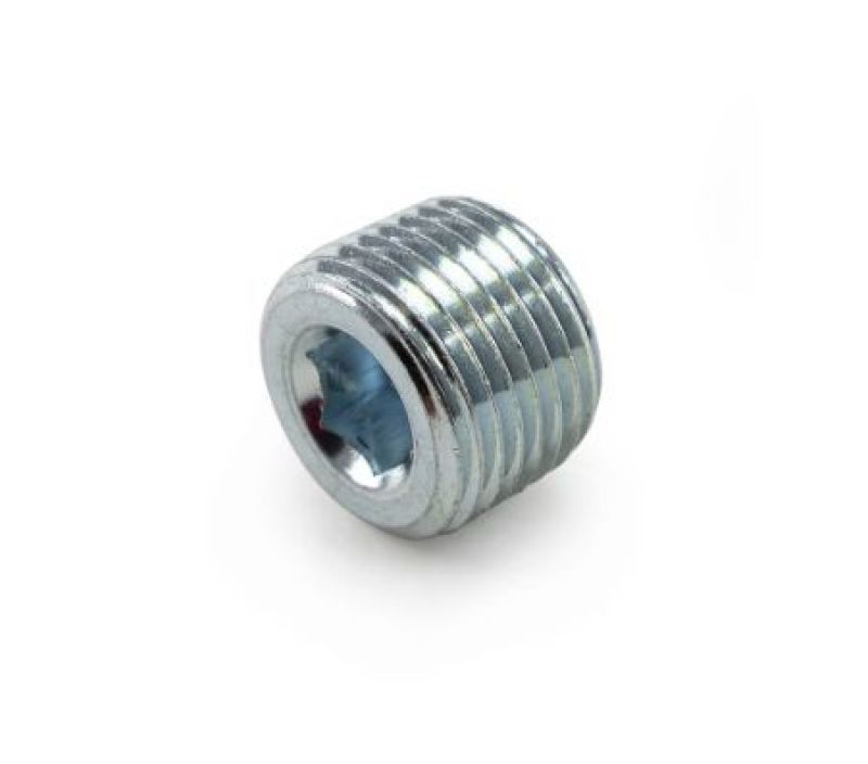 Killer B 1/2in NPT Chrome Plated Steel Plug - NPTPL