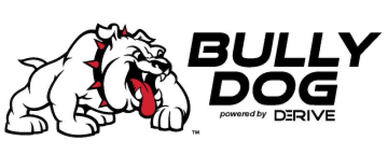 Bully Dog A-pillar Mount GT PMT and WatchDog Dodge Ram 1500-3500 10-11 - 32304 for 1994-2010 Dodge Ram 1500 - installed view