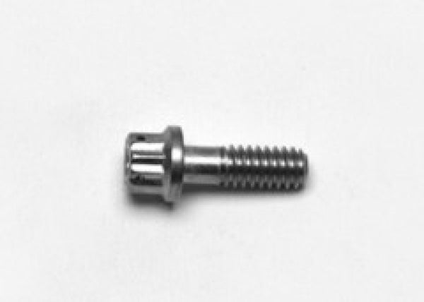 Wilwood Stainless Steel Rotor Bolt - 12pt 1/4-20 X .75 L - 230-8037 by Wilwood